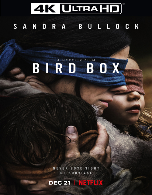 تحميل فيلم Bird Box 2018 مترجم [4K]